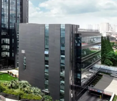 重庆智能系统定制开发全流程解析及技术选型建议